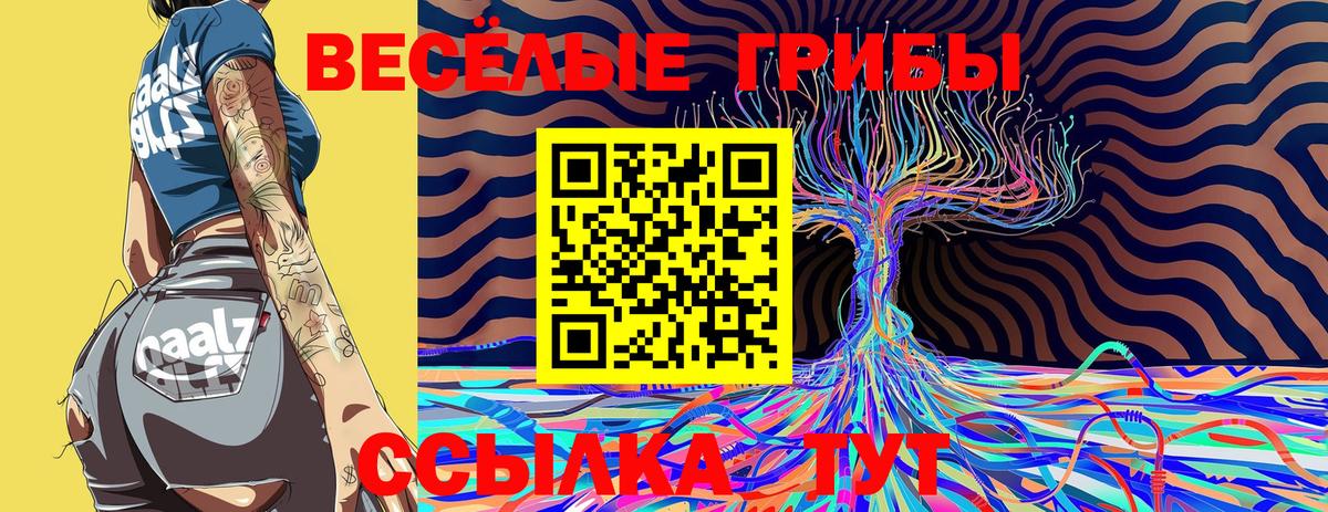 Новочебоксарск  Псилоцибиновые грибы Magic Shrooms  купить  цена  Вход с VPN 