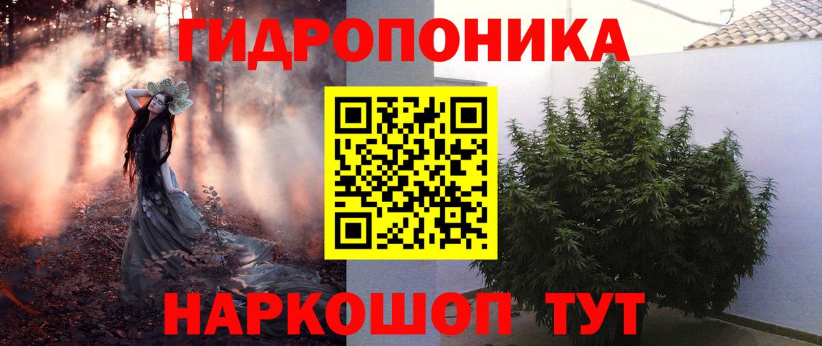 Шишки марихуана марихуана  Вход с VPN  Канабис конопля  Бошки Шишки OG Kush  Новочебоксарск 